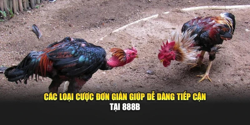 Các loại cược đơn giản giúp dễ dàng tiếp cận tại 888b