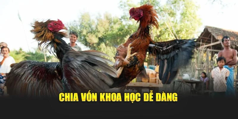 Chia vốn khoa học dễ dàng