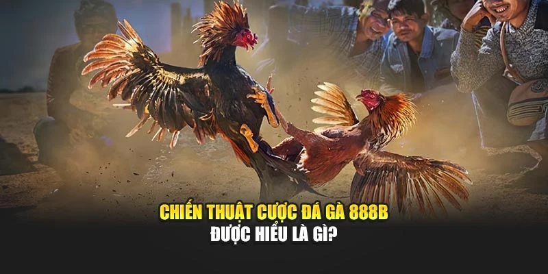 Chiến thuật cược đá gà 888B được hiểu là gì?