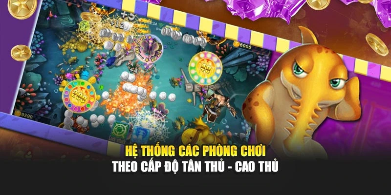 Hệ thống các phòng chơi theo cấp độ tân thủ - cao thủ