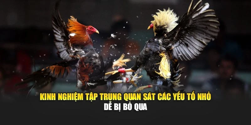 Kinh nghiệm tập trung quan sát các yếu tố nhỏ dễ bị bỏ qua