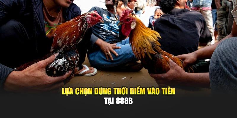 Lựa chọn đúng thời điểm vào tiền tại 888b