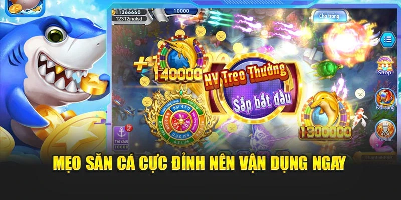 Mẹo săn cá cực đỉnh nên vận dụng ngay