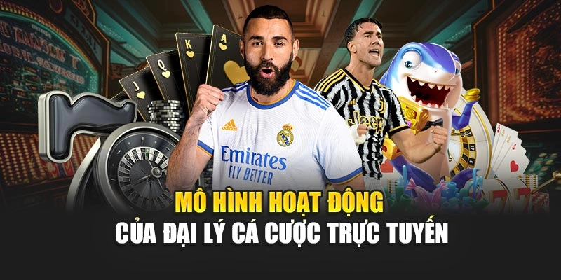 Mô hình hoạt động của đại lý cá cược trực tuyến