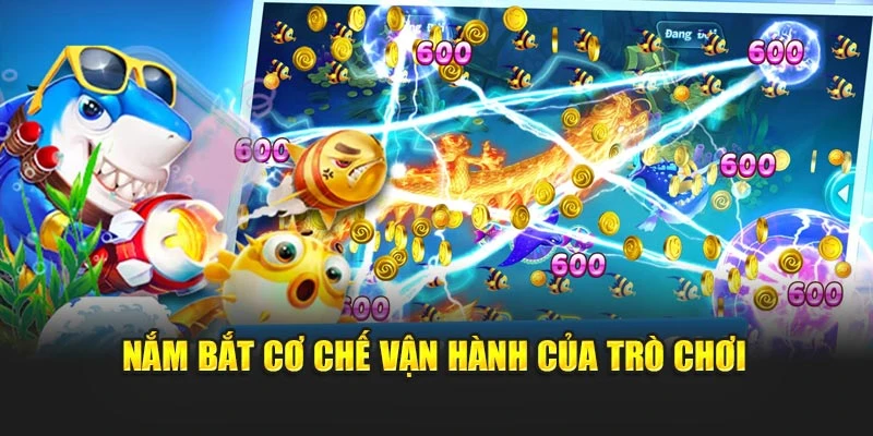Nắm bắt cơ chế vận hành của trò chơi