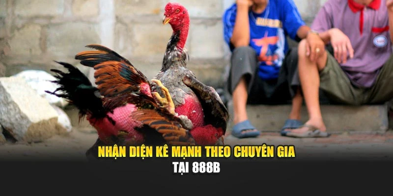 Nhận diện kê mạnh theo chuyên gia tại 888b