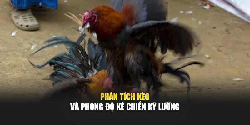 Phân tích kèo và phong độ kê chiến kỹ lưỡng