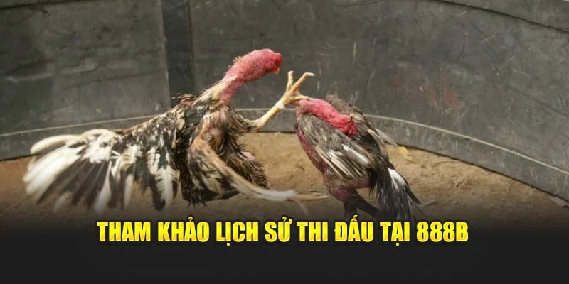 Tham khảo lịch sử thi đấu tại 888b