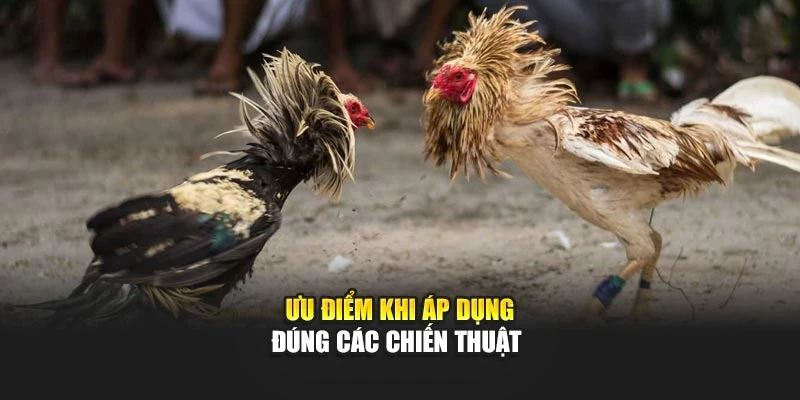 Ưu điểm khi áp dụng đúng các chiến thuật