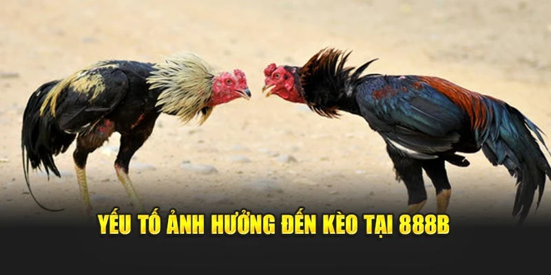 Yếu tố ảnh hưởng đến kèo tại 888b